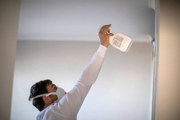 Best Black Mold Removal  in Burgin, KY