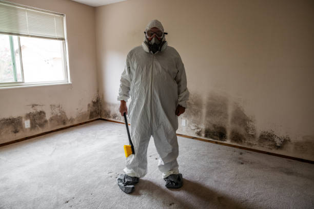 Best Emergency Mold Removal  in Burgin, KY
